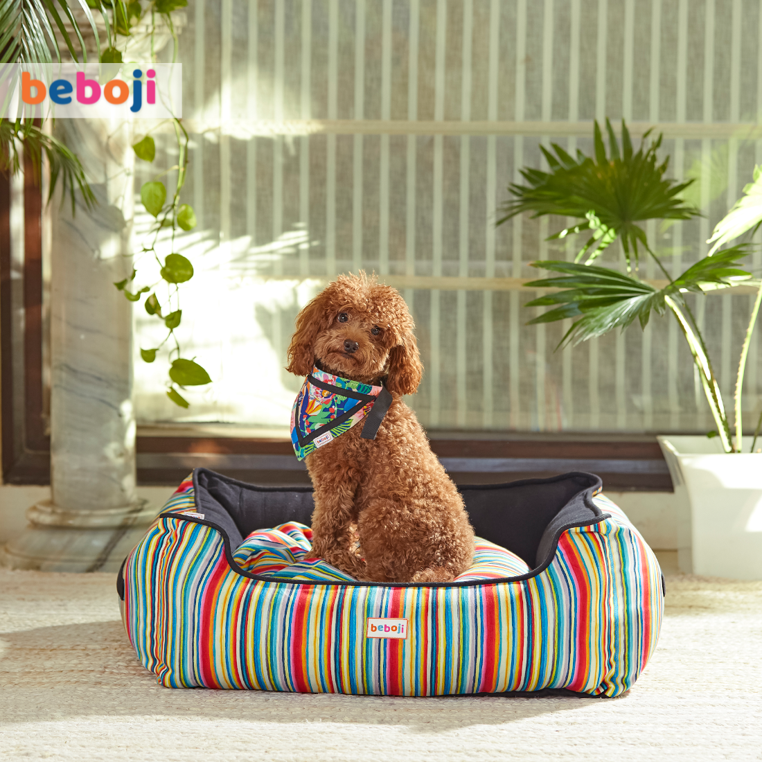 beboji Strippy Trippy Lounger Dog Bed - S