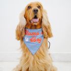 ZL Mama's Boy Dog Bandana