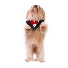 ZL XOXO Ready For Date Tux Dog Bandana