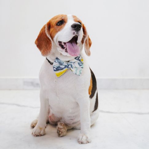 ZL Marble Print Ribbon Dog Bow Tie 