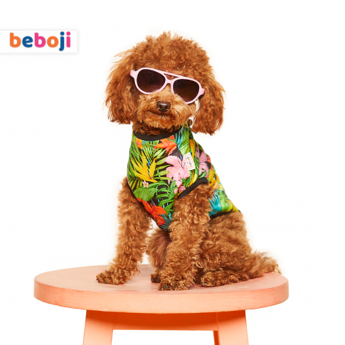 beboji Hawaiian Heart Dog Tshirt