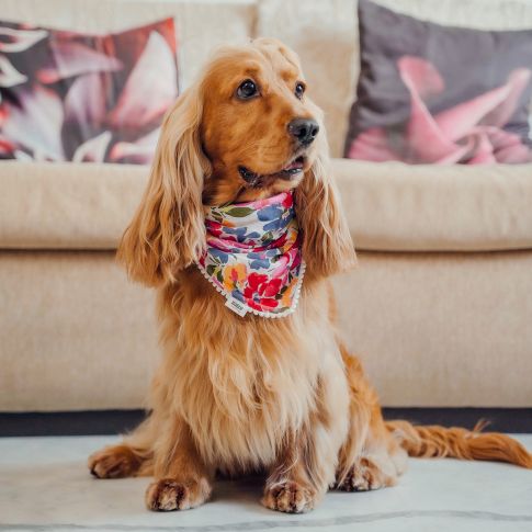 ZL Multicolour Floral Bandana 