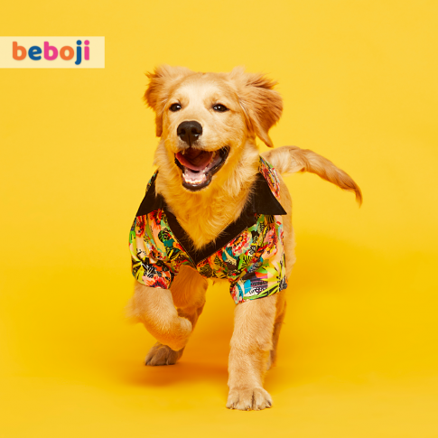 beboji Tropical Twist Dog Shirt