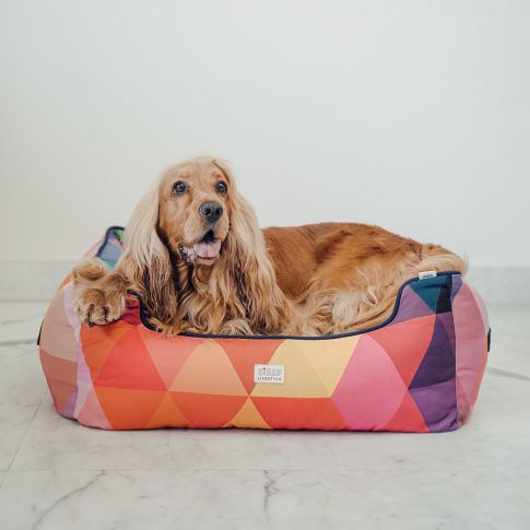 ZL Colourful Angular Lounger Dog Bed