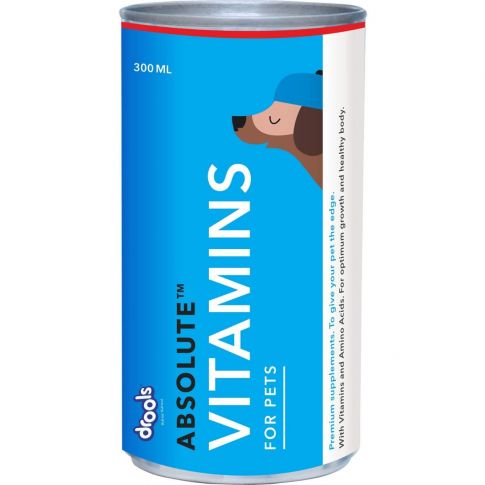 Drools Absolute Vitamins Syrup Supplement - 300 ml