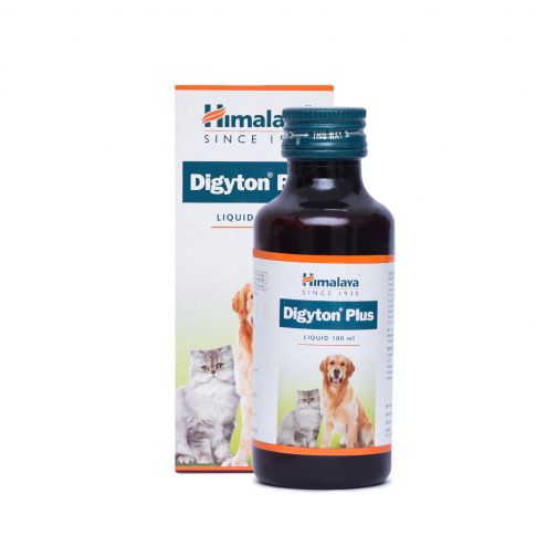 Himalaya Digyton Plus - 100 ml