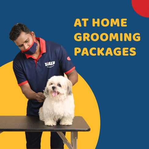 At-Home Grooming Packages For Dogs