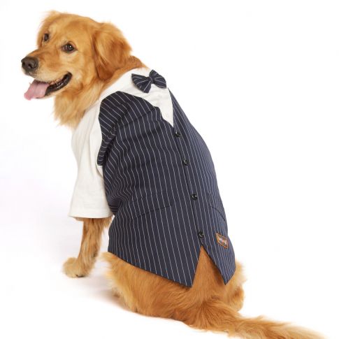 beboji Classy Gentelman Black Stripe Dog Shirt with Bow