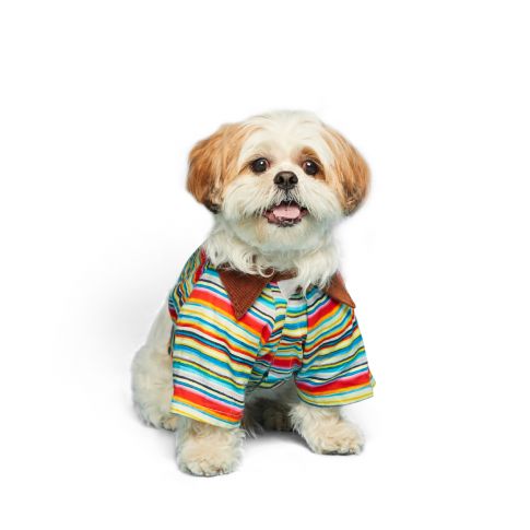beboji Stripy Trippy Dog Shirt