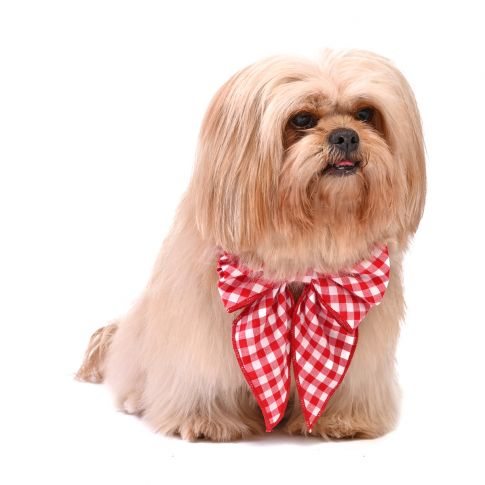 ZL XOXO Gingham Checks Ribbon Dog Bow Tie