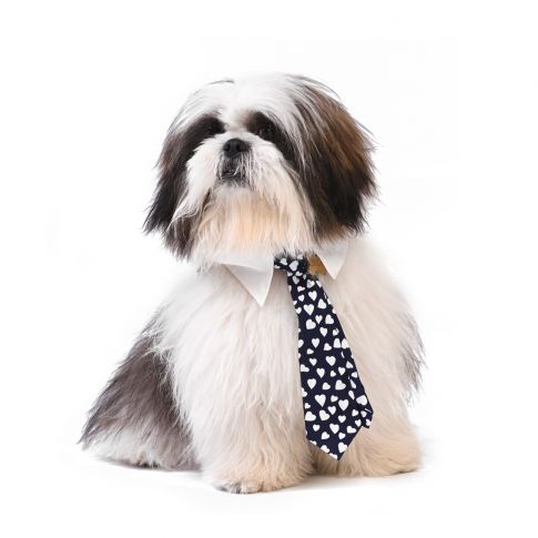 ZL XOXO Be Professional Dog Neck Tie