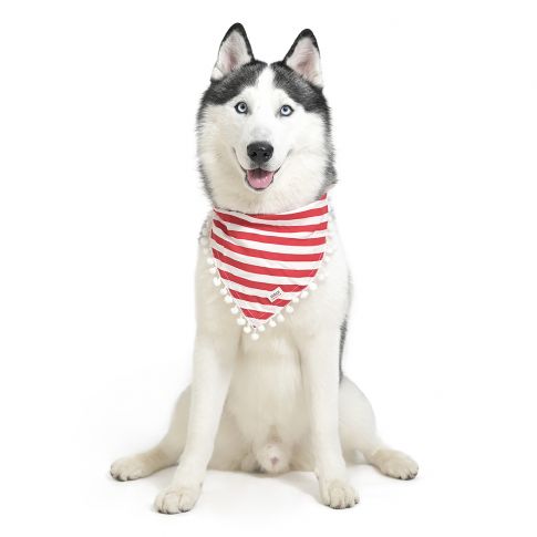 ZL Classic Canine Candy Wrap Bandana For Dog Days