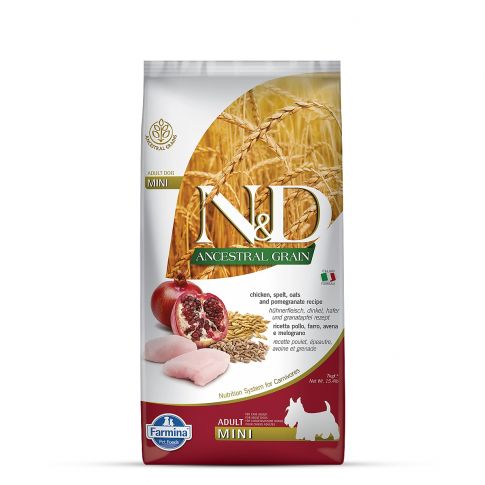 Ancestral grain 2025