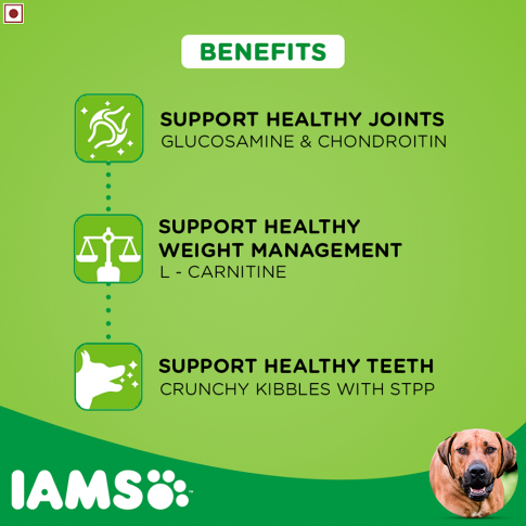 IAMS Proactive Health Adult Large Breed Dry Dog Food