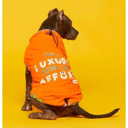 beboji I am Luxury Few Can Afford Dog Tshirt