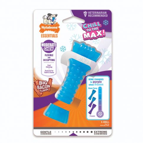 Nylabone Moderate Bacon Flavoured Small Chew Toy - Assorted Colors