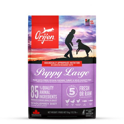 Orijen Puppy Large Breed Dry Food