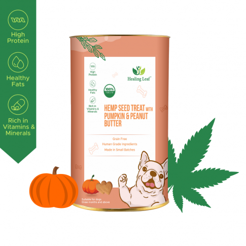 Healing Leaf  Hemp Pumkin Treat 100 gm