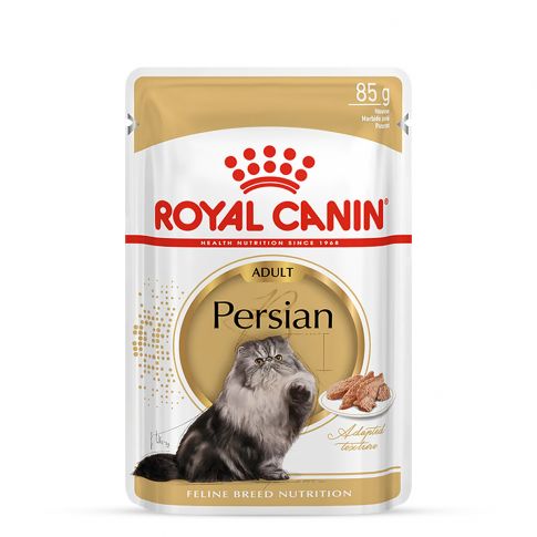 Persian cat food near me top
