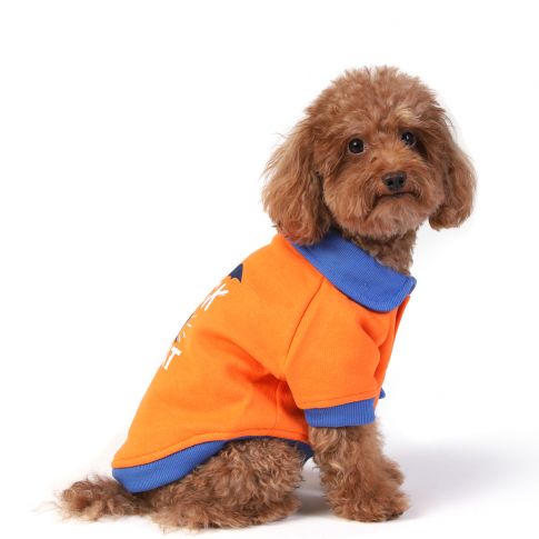  ZL Trick or Treat Sweatshirt For Dogs