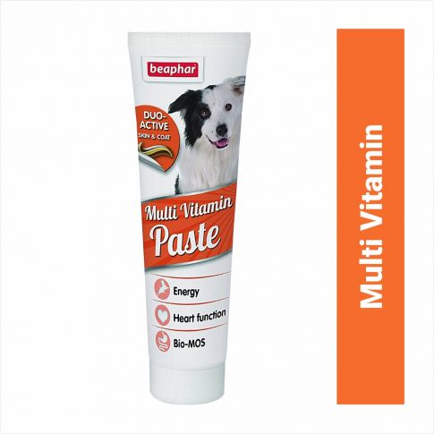 Beaphar Duo Active Paste Multi Vitamin Supplement For Dogs - 100 gm