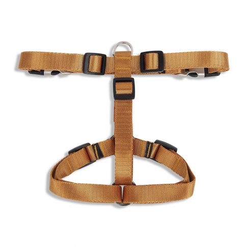 ZL Classic Dog H Harness Gold