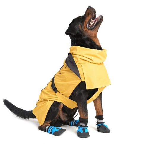 ZL Raincoat & Windcheater for Dogs - Blond