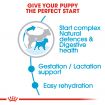 Royal Canin Mini Starter Dry Dog Food