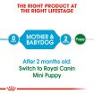 Royal Canin Mini Starter Dry Dog Food