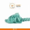 Fofos Birthday Balloon Dog Toy