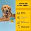 Furlicks Calming Aid Oral Strips for Dogs & Cats - Mixed Fruit Flavour