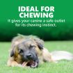 Goodies Energy Treats Chlorophyll Flavour Dog Dental Treat - 500 gm