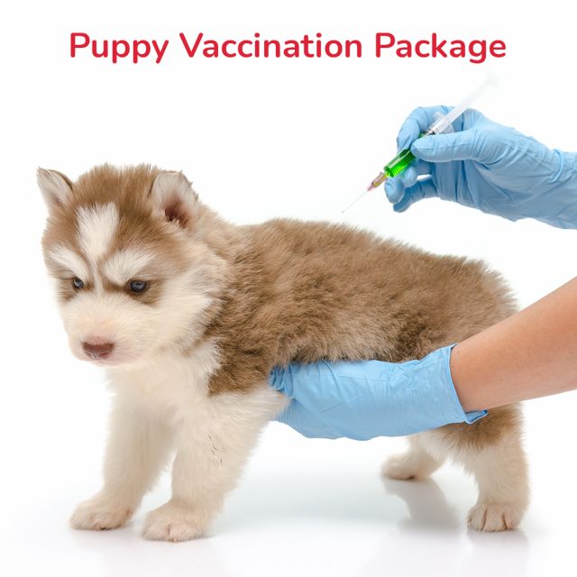 Puppy Vaccination Package 