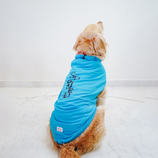 ZL Pet So Proud Dog T-Shirt-XS