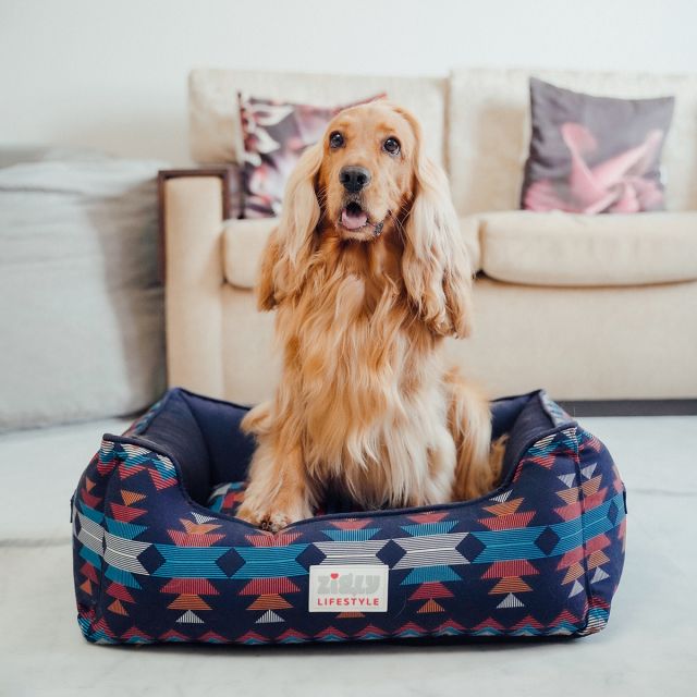 ZL Naval Force Ancestral Lounger Dog Bed-M