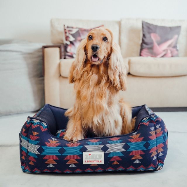 ZL Naval Force Ancestral Lounger Dog Bed-XL