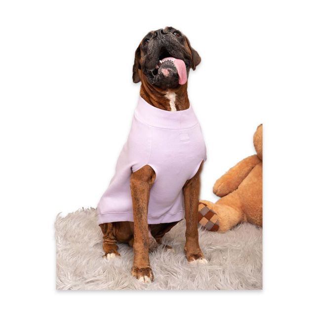 Petsnugs Cute Devil Dog Devil Sweater - XS