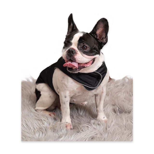 Petsnugs Black  Dog Jacket - L