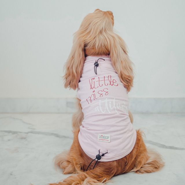 ZL Pet Little Miss Attitude Dog T-Shirt-L