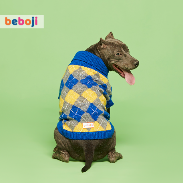 beboji Argyle Blue Sweater for Dogs