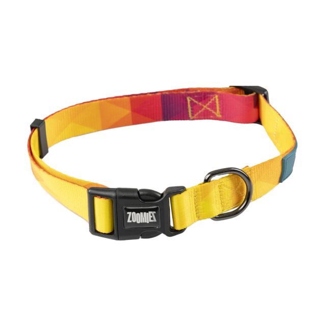 Zoomiez Solar Printed Dog Collar-M