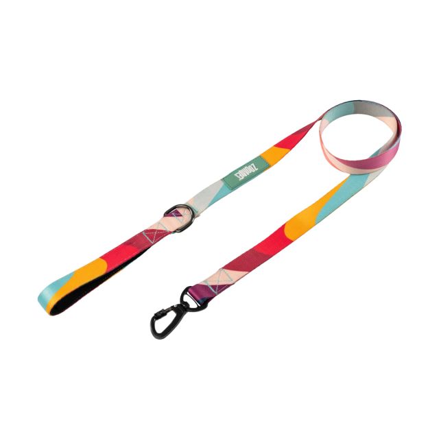 Zoomiez Swirl Printed Dog Leash-S