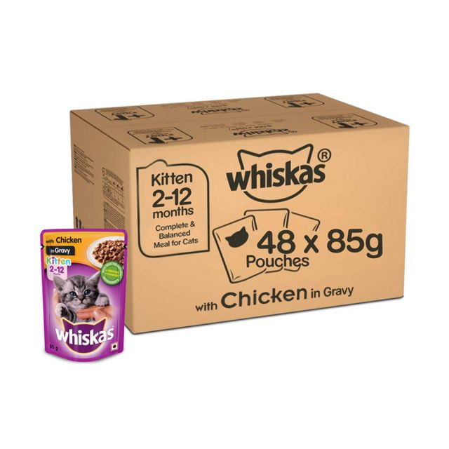 Whiskas Kitten (2-12 months) Chicken in Gravy Wet Cat Food - 85 gm (Pack Of 48)