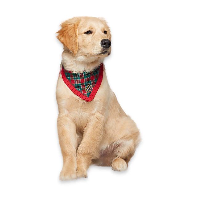 beboji Green Checks Bandana for Dogs - S