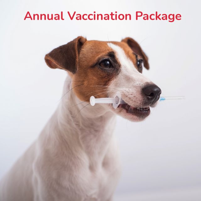 Annual Vaccination Package 