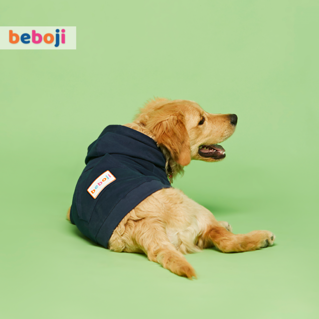 beboji Navy Sweatshirt with Hoodie for Dogs