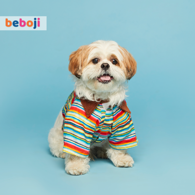 beboji Stripy Trippy Dog Shirt - 2XL