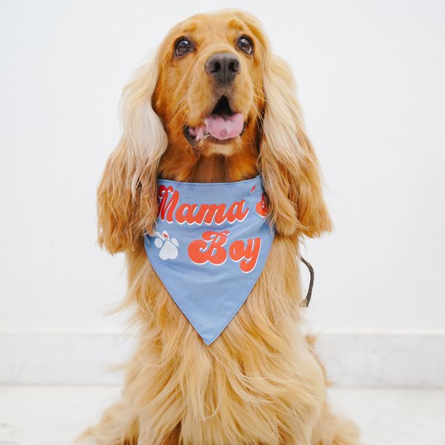 ZL Mama's Boy Dog Bandana-M