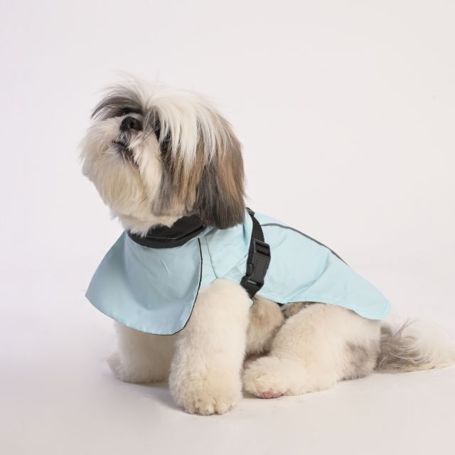 ZL Raincoat & Windcheater for Dogs - Blue-S