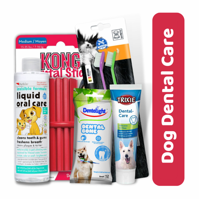 Zigly Dental Care combo (Toothpaste, Toothbrush, Water Additive, Treat & Toy) For Dog